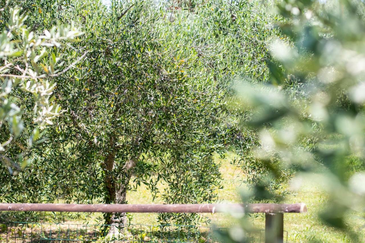 Agriturismo Filettro Volterra Bagian luar foto